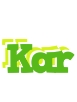 Kar picnic logo