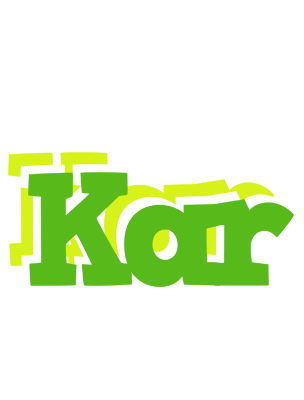 Kar picnic logo