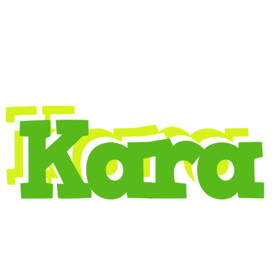 Kara picnic logo