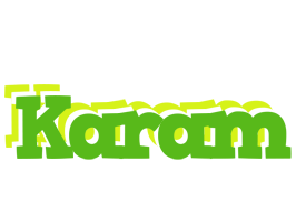 Karam picnic logo