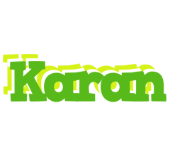 Karan picnic logo