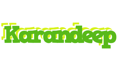 Karandeep picnic logo