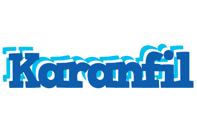 Karanfil business logo
