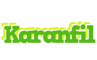 Karanfil picnic logo