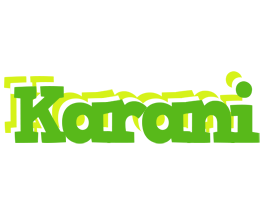 Karani picnic logo