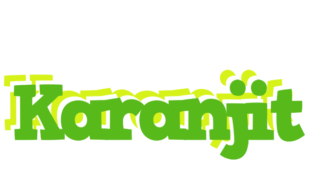 Karanjit picnic logo