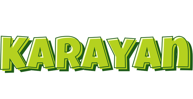 Karayan summer logo