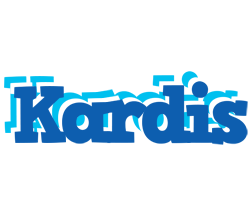 Kardis business logo