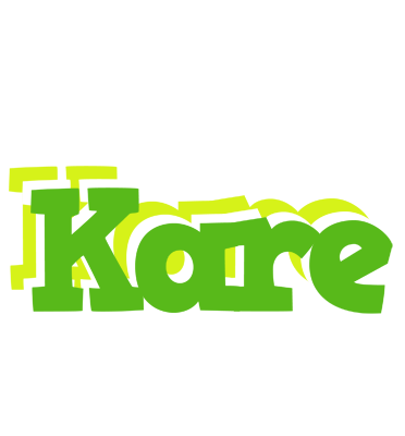 Kare picnic logo