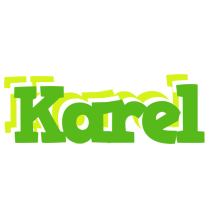 Karel picnic logo