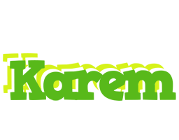 Karem picnic logo