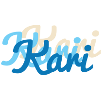 Kari breeze logo