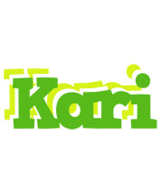 Kari picnic logo