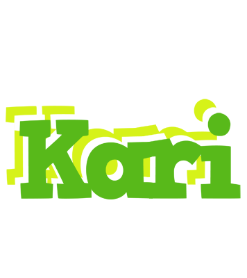 Kari picnic logo