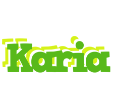 Karia picnic logo