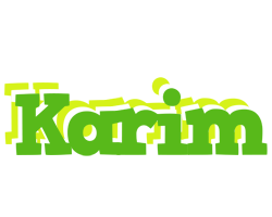 Karim picnic logo