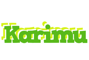 Karimu picnic logo