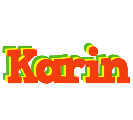 Karin bbq logo