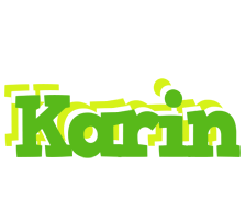 Karin picnic logo