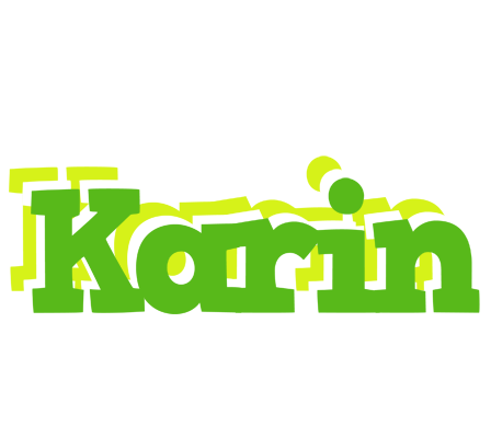 Karin picnic logo