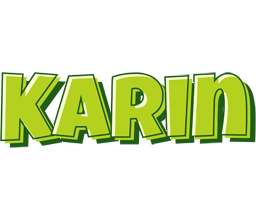 Karin summer logo