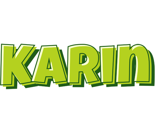 Karin summer logo