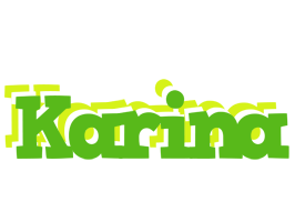 Karina picnic logo