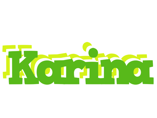 Karina picnic logo