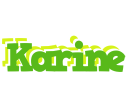 Karine picnic logo