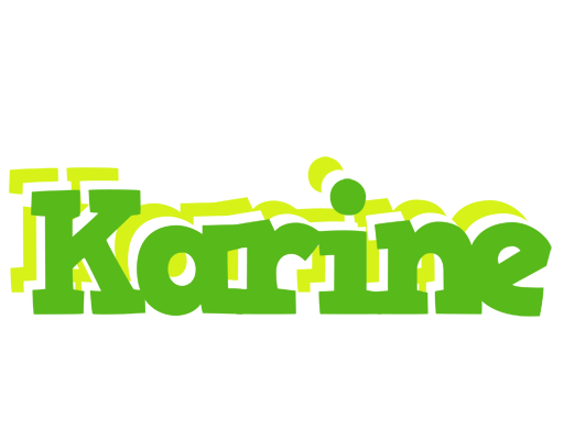 Karine picnic logo