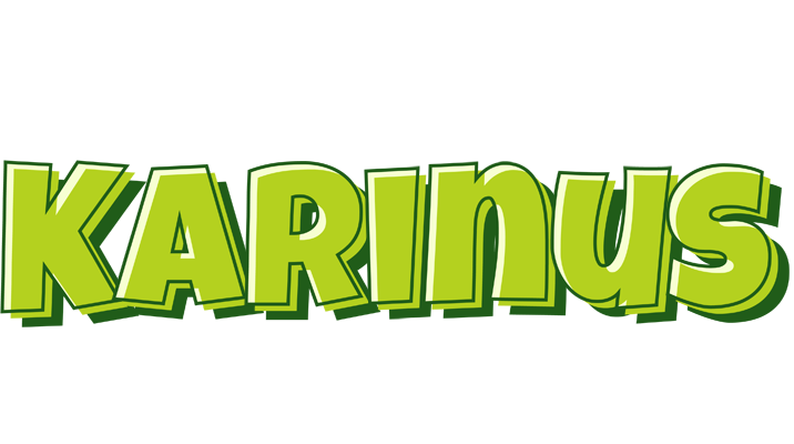 Karinus summer logo