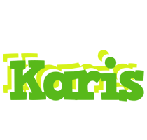 Karis picnic logo