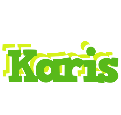 Karis picnic logo
