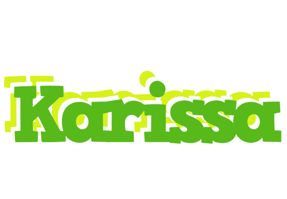 Karissa picnic logo