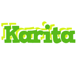 Karita picnic logo