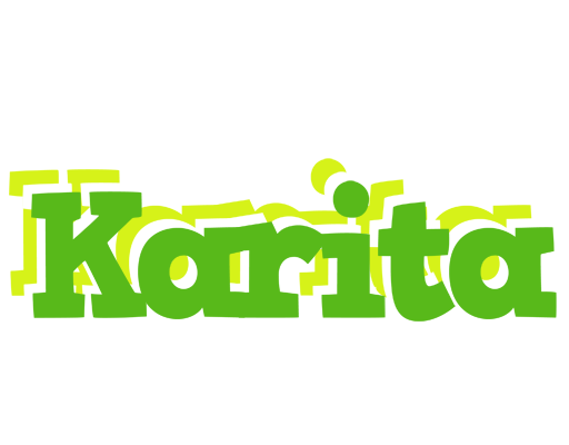 Karita picnic logo