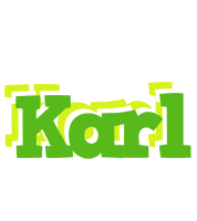 Karl picnic logo