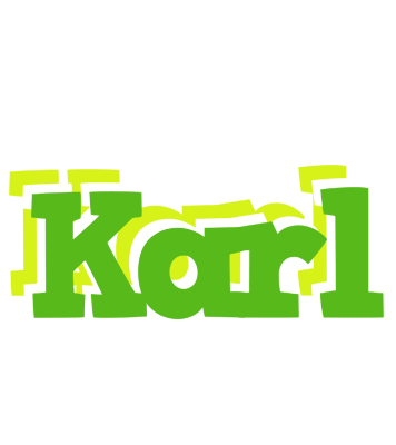 Karl picnic logo