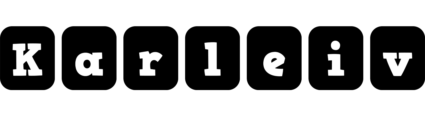 Karleiv box logo