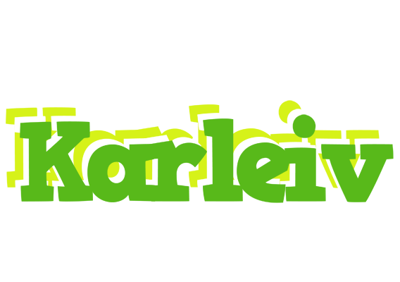 Karleiv picnic logo