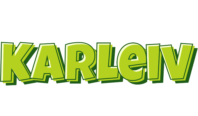 Karleiv summer logo