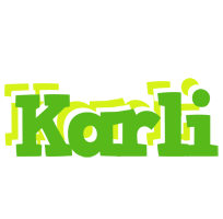 Karli picnic logo