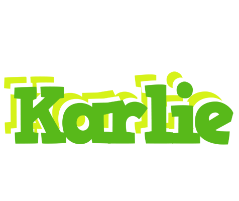 Karlie picnic logo