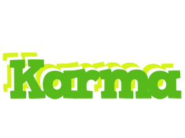 Karma picnic logo