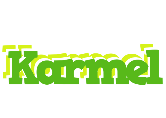 Karmel picnic logo