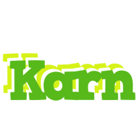 Karn picnic logo