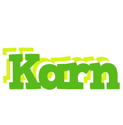 Karn picnic logo