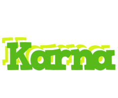 Karna picnic logo