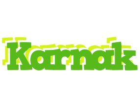 Karnak picnic logo