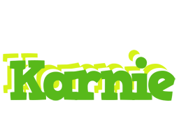 Karnie picnic logo